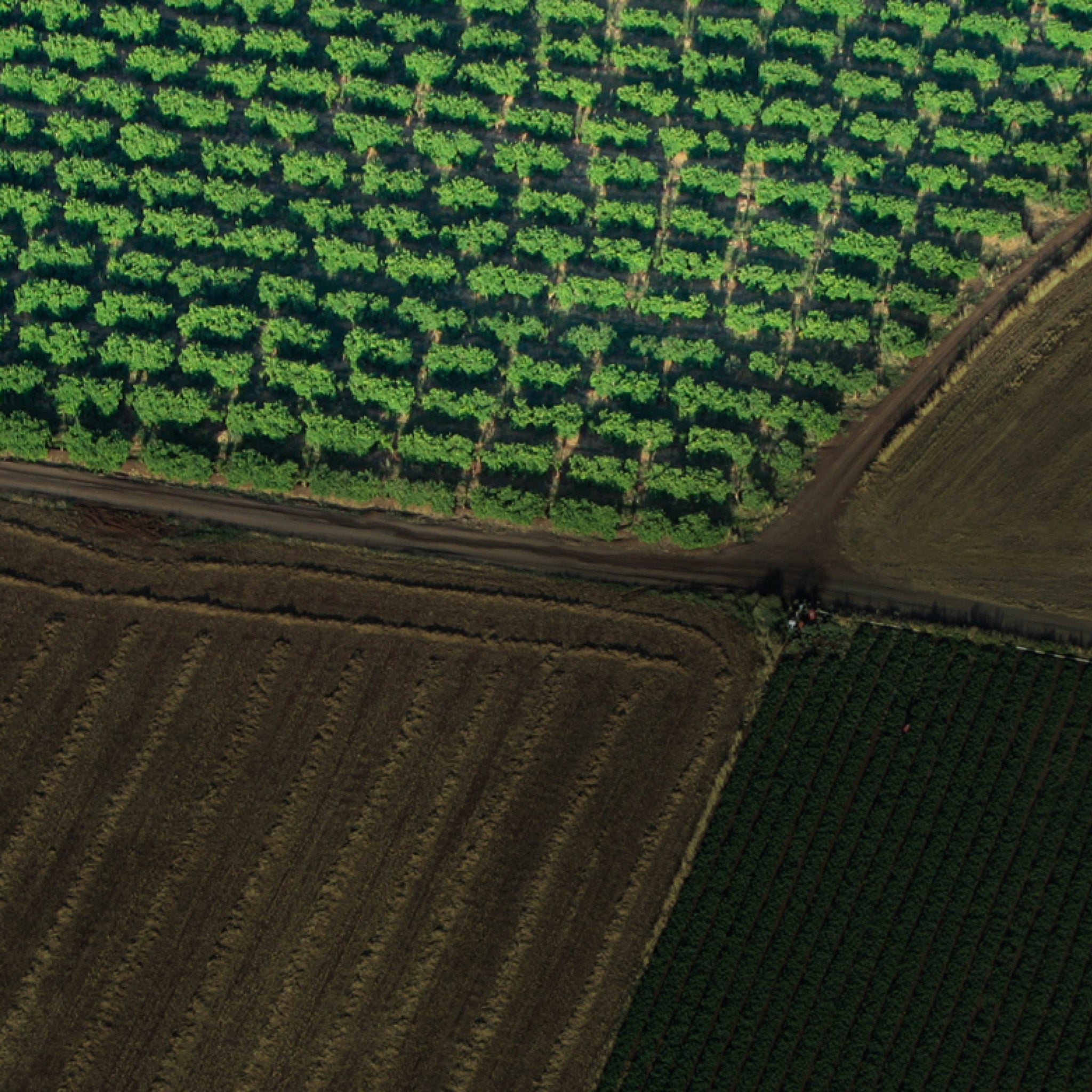 Mapping, Surveying, and Data Collection