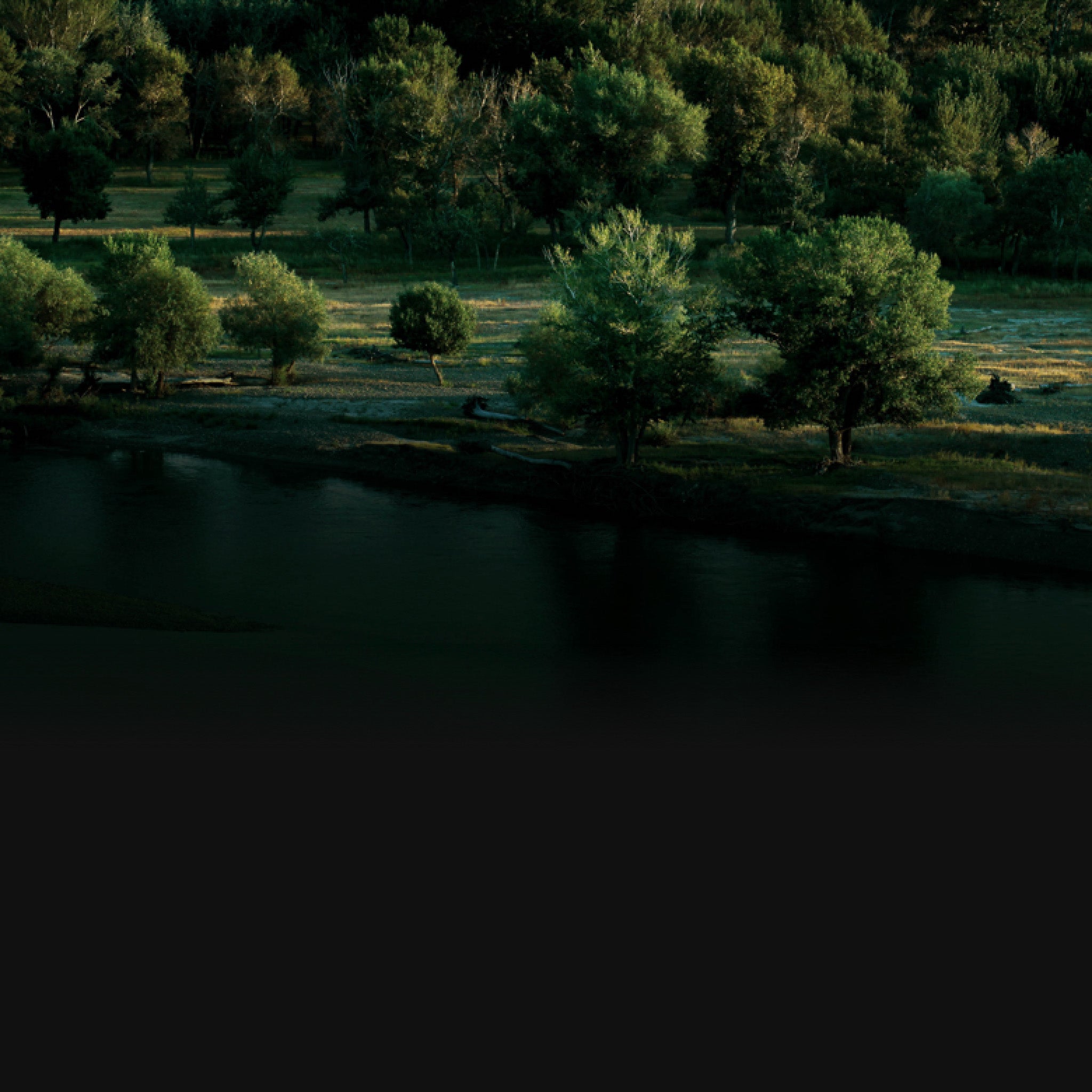 Progress monitoring and documentation